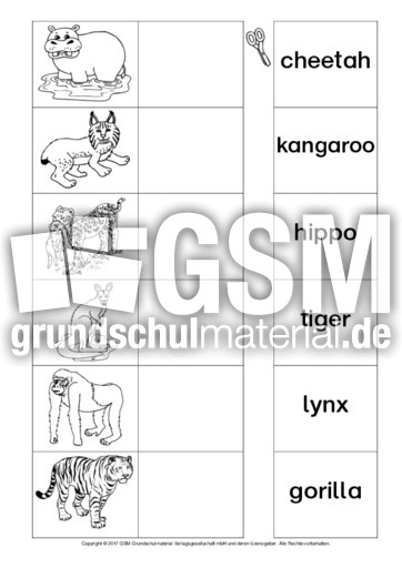 AB-animals-Zuordnung 10.pdf